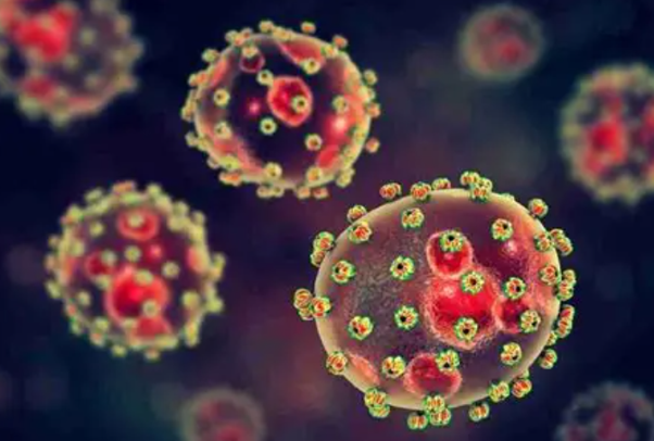 Laboratory research and Lassa fever diagnostics